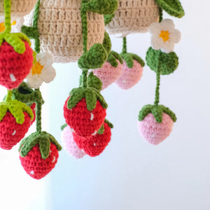 Strawberry Hanging Plant