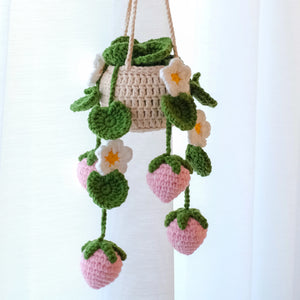 Strawberry Hanging Plant