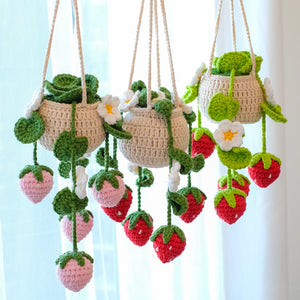 Strawberry Hanging Plant